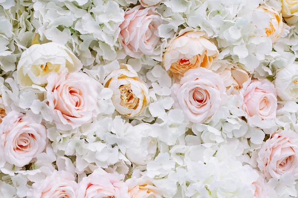 Fondo de pared de flores con rosas blancas y naranja claro . —  Fotos de Stock