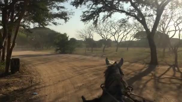 View from the horse cart rider in Myanmar — Stock Video