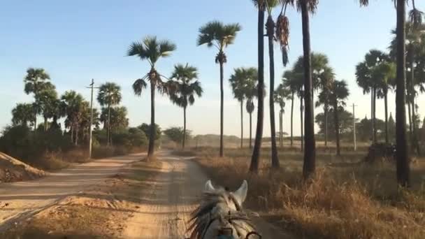 Vista do cavaleiro de carrinhos de cavalo em Mianmar — Vídeo de Stock