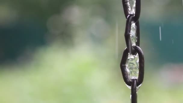 Regentropfen Fallen Auf Die Wasseroberfläche Starkregen Spritzer — Stockvideo