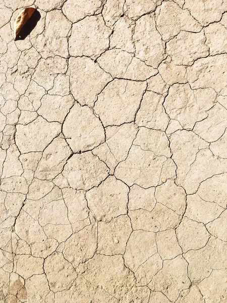 Dried cracked earth soil ground texture background
