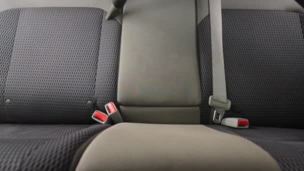 Limpeza Química Dos Assentos Têxteis Interiores Carro Com Aspirador Profissional — Vídeo de Stock