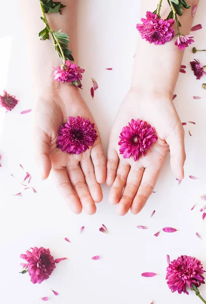 Zavřít fotografii ženských rukou s hlubokými růžovými květy na bílém — Stock fotografie
