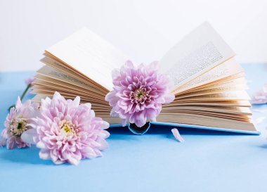 Bulanık bokeh backg üzerinde krizantem çiçek ile eski kitap açıldı