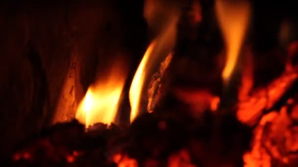 Gece Yanan Ateş Kamp Ateşi Şenlik Ateşi Yangın Alevleri — Stok video