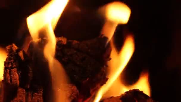 Gece Yanan Ateş Kamp Ateşi Şenlik Ateşi Yangın Alevleri — Stok video