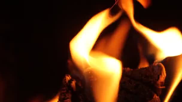 Brandend Vuur Nachts Kampvuur Vuur Vuur Vlammen — Stockvideo