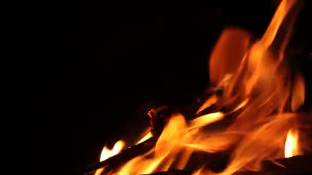 Płonący Ogień Nocy Ognisko Ogniowe Fire Flames — Wideo stockowe