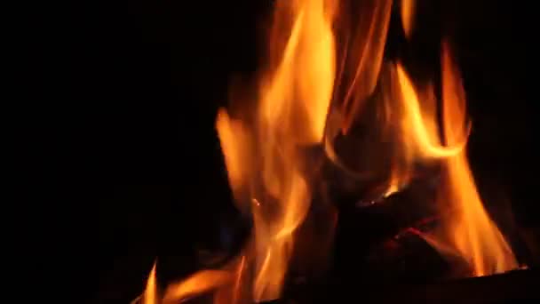 Fuego Ardiente Por Noche Hoguera Fogata Llamas Fuego — Vídeo de stock