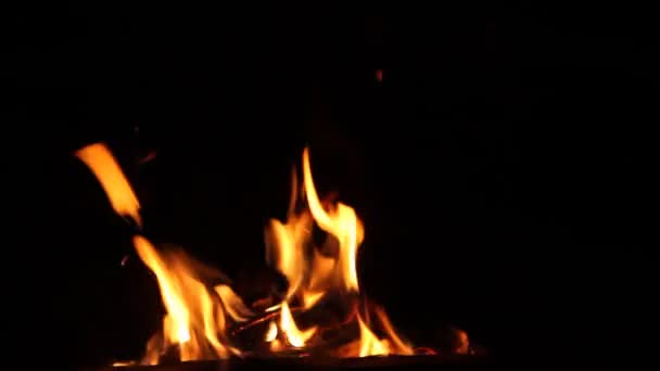 Burning Fire Night Campfire Bonfire Fire Flames — Stock Video