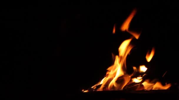 夜の燃える火 キャンプファイヤーの焚き火 — ストック動画