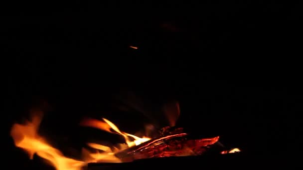 Burning Fire Night Campfire Bonfire Fire Flames — Stock Video