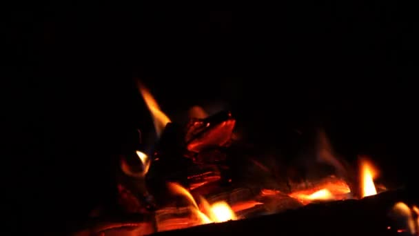 夜の燃える火 キャンプファイヤーの焚き火 — ストック動画