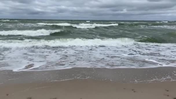 Moving Surface Waves Cold Baltic Sea Stormy Weather — Stock Video