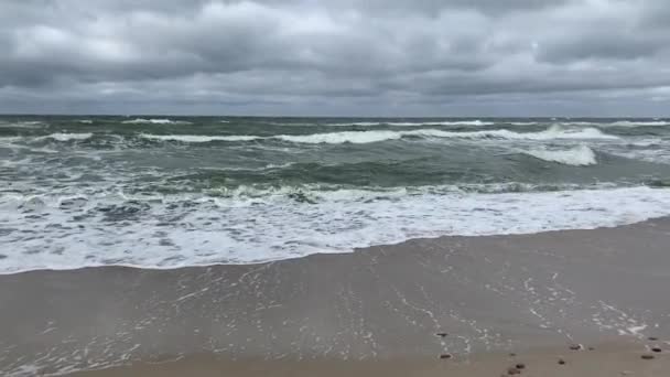 Bewegte Oberfläche Und Wellen Der Kalten Ostsee Bei Stürmischem Wetter — Stockvideo