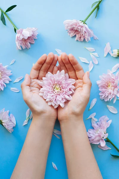 Detail ženské ruce s růžovými květy na světle modré — Stock fotografie