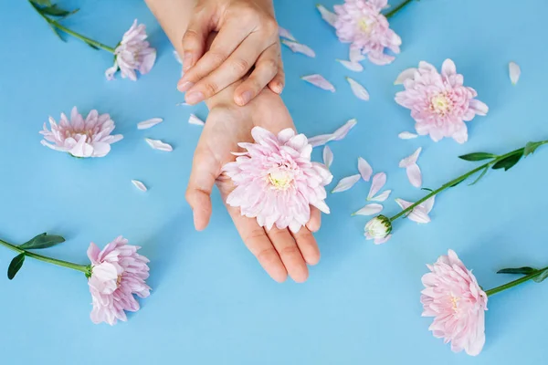 Detail ženské ruce s růžovými květy na světle modré — Stock fotografie