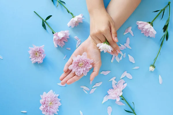 Feche a foto de mãos femininas com flores rosa no azul claro — Fotografia de Stock