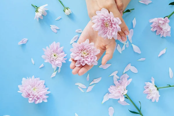 Feche a foto de mãos femininas com flores rosa no azul claro — Fotografia de Stock