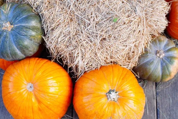 Montón de calabazas vendidas en un mercado para Halloween . — Foto de Stock