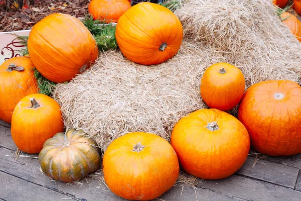 Montón de calabazas vendidas en un mercado para Halloween . — Foto de Stock