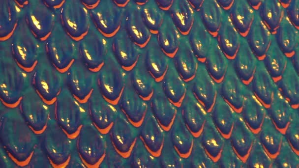Kleurrijke Exotische Slangenhuid Textuur Holografische Schilferige Slangenhuid Textuur Parelmoerkleur Achtergrond — Stockvideo