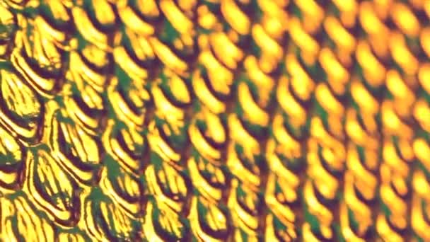 カラフルなエキゾチックなヘビ肌のテクスチャ ホログラフィックなうろこ状のヘビの皮膚の質感 真珠の虹色の背景 — ストック動画