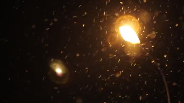 冬夜街灯与落雪 冬季和圣诞节的概念 — 图库视频影像