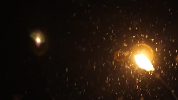Night Winter Street Lamp Met Vallende Sneeuw Winter Kerstconcept — Stockvideo