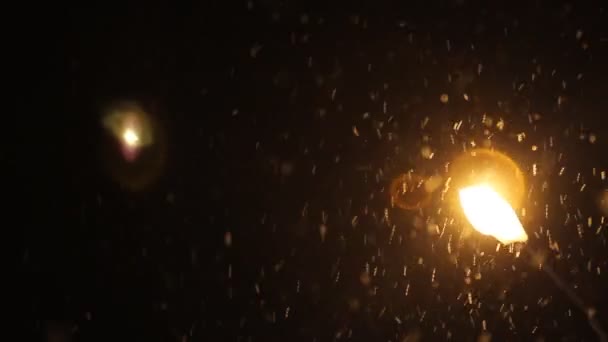 Night Winter Street Lamp Falling Snow Winter Christmas Concept — Stock Video