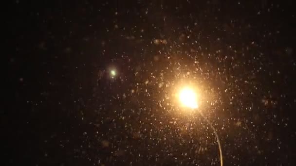 Night Winter Street Lamp Met Vallende Sneeuw Winter Kerstconcept — Stockvideo