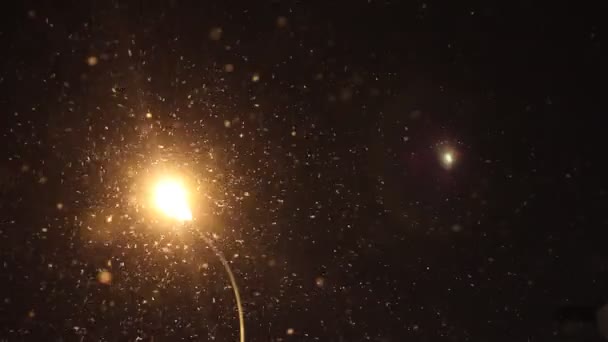 Gece Kış Sokağı Lambası Yağan Kar Kış Noel Konsepti — Stok video