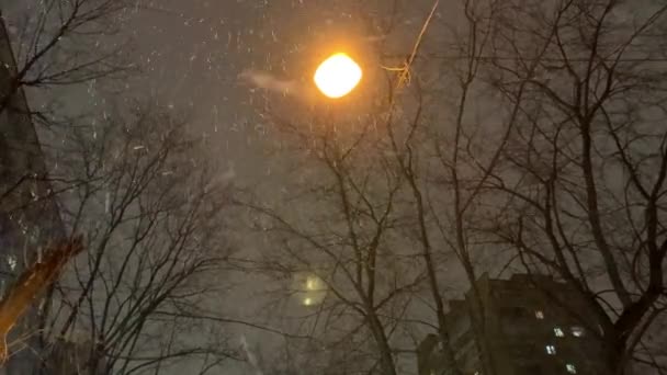 Snöflingor Snurrar Runt Ljus Snöstorm Vintern Kvällen — Stockvideo