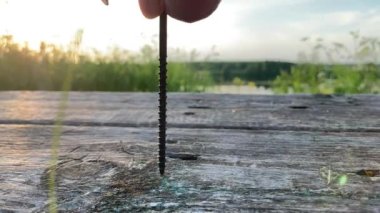 Tahtayı vidayla delmeye yakın. Tahta tezgahta tornavida büküyor.