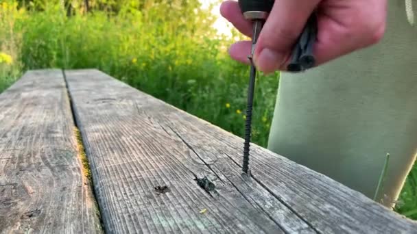 Gros Plan Perçage Dans Bois Avec Vis Torsadée Tournevis Tournevis — Video