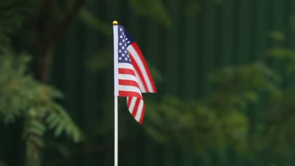 Αμερικανική Σημαία Κυματίζει Στο Πράσινο Φόντο Γρασίδι Μια Πατριωτική Εθνική — Αρχείο Βίντεο