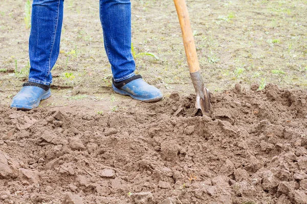 Worker Digs Soil Shovel Vegetable Garden Male Farmer Rubber Boots — Stock Photo, Image