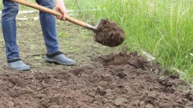 İşçi sebze bahçesinde kürekle toprağı kazıyor. Lastik çizmeli erkek çiftçi kazıyor.