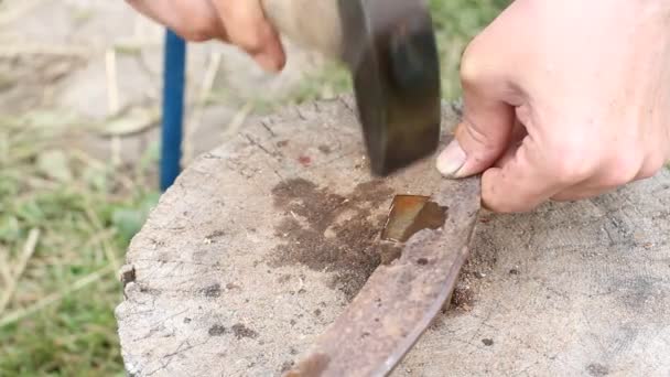 Hombre Peening Hoja Guadaña Con Martillo Afilando Guadaña Manualmente Una — Vídeo de stock