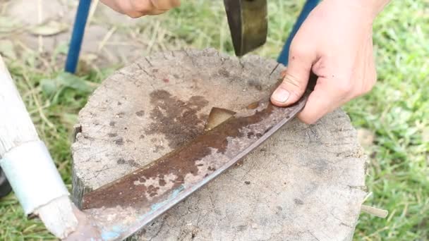 Man Peening Scythe Blade Hammer Sharpening Scythe Manually Rural Scene — Stock Video