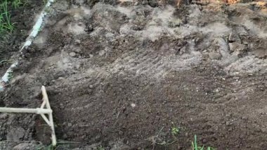 Bahçıvan toprağı tırmıkla derecelendiriyor. Tanınmayan birinin elleri zemini düzleştiriyor, mükemmel çimenler dikiyor, yeşil çimenler dikiyor. Manzara tasarımı üzerinde çalışan bir adam..