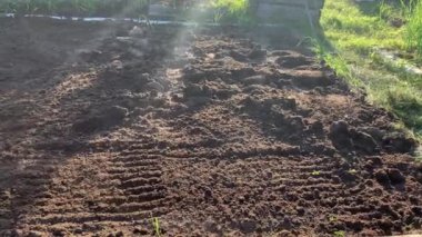 Bahçıvan toprağı tırmıkla derecelendiriyor. Tanınmayan birinin elleri zemini düzleştiriyor, mükemmel çimenler dikiyor, yeşil çimenler dikiyor. Manzara tasarımı üzerinde çalışan bir adam..