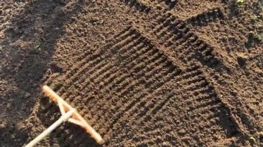 Bahçıvan toprağı tırmıkla derecelendiriyor. Tanınmayan birinin elleri zemini düzleştiriyor, mükemmel çimenler dikiyor, yeşil çimenler dikiyor. Manzara tasarımı üzerinde çalışan bir adam..