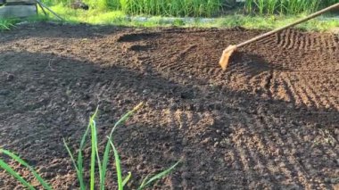 Bahçıvan toprağı tırmıkla derecelendiriyor. Tanınmayan birinin elleri zemini düzleştiriyor, mükemmel çimenler dikiyor, yeşil çimenler dikiyor. Manzara tasarımı üzerinde çalışan bir adam..