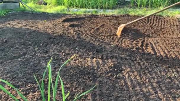 Gardener Grading Out Soil Rake Unrecognizable Person Hands Leveling Out — Stock Video
