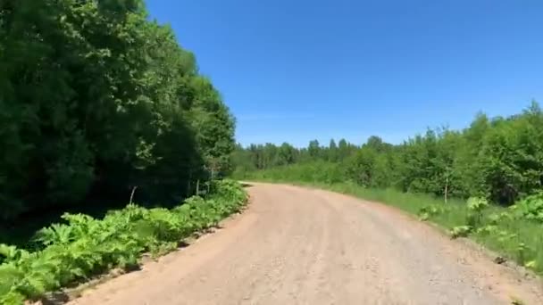 Dirigir Estrada Rural Vazia Passando Por Uma Floresta Mista Com — Vídeo de Stock