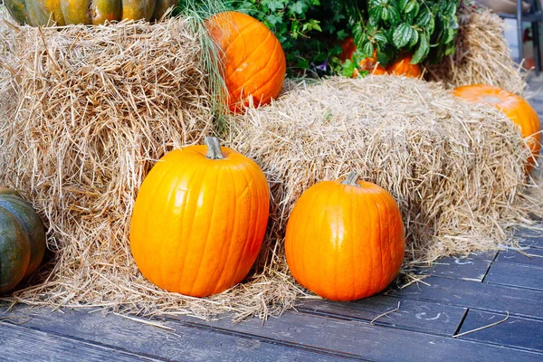 Montón Calabazas Vendidas Mercado Para Halloween Decoraciones Otoño Calabazas Varias — Foto de Stock