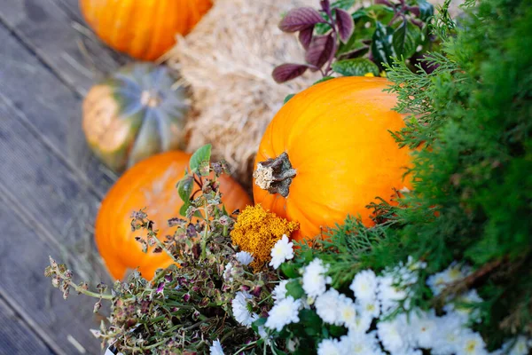 Pile Pumpkins Sold Market Halloween Autumn Decorations Pumpkins Various Shapes — Stock Photo, Image