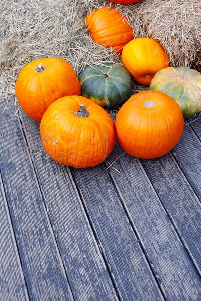 Montón Calabazas Vendidas Mercado Para Halloween Decoraciones Otoñales Calabazas Varias — Foto de Stock