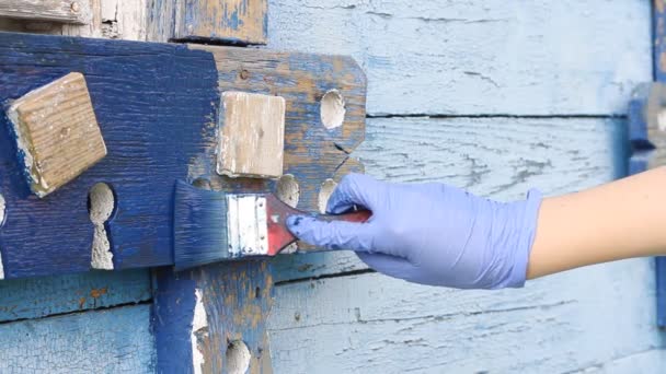 Holzmalerei Hand Hand Mit Blauem Gummihandschuh Bemalt Holzfensterrahmen Mit Pinsel — Stockvideo